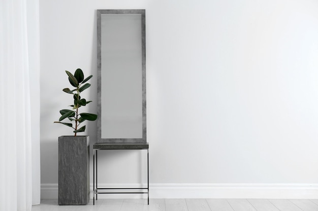 Interior moderno com espelho grande e bela planta perto da parede branca Espaço para texto