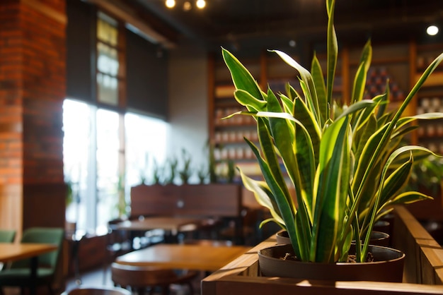 Interior moderno e aconchegante do restaurante em estilo loft com plantas verdes