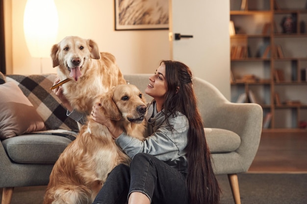 Foto el interior moderno de la mujer está con dos perros golden retriever en casa