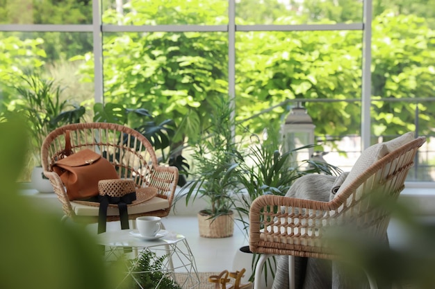 Interior de terraza interior con muebles elegantes y plantas de interior.