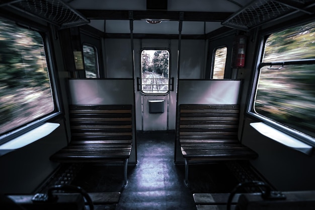 Foto interior del tren que se mueve por el bosque