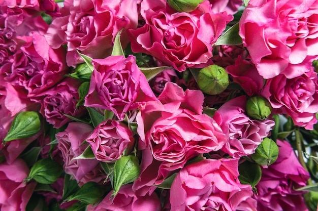 Internationaler Frauentag. Hintergrund, Flyer, schöne Karte für den 8. März, Grußbanner oder Rahmen, Hintergrund für den Valentinstag. Rosa Rosenblüten mit harten Schatten.
