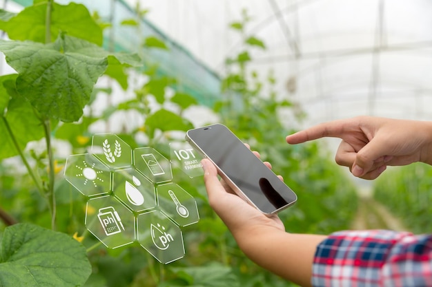 Foto internet das coisas iot com conceito de agricultura inteligente a agricultura e a tecnologia moderna são usadas