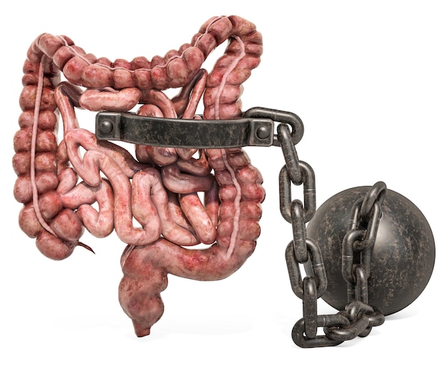 Foto intestinos humanos com renderização em 3d do conceito de dor abdominal