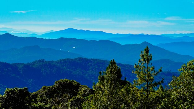 Inthanon-Waldausblick Chiang Mai Thailand