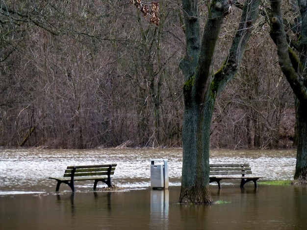 Inundação da primavera O rio transbordou no parque da cidade e bancos e uma lata de lixo estão na água