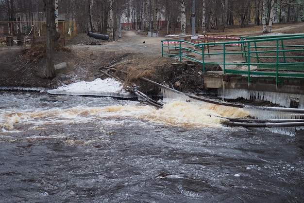 Inundação de primavera Água precipitada no rio Água ferrosa escura precipitada no riacho Karelia Rio Lososinka na primavera Inundações tsunami e mudanças climáticas Ponte destruída com tubos Desastre climático