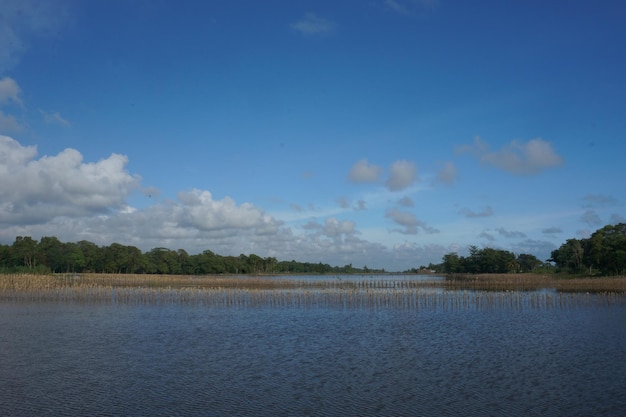 inundação e fazenda