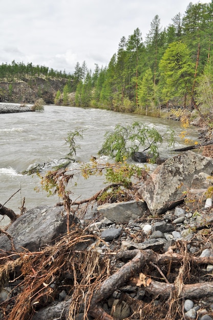 Inundação em um rio de montanha em yakutia