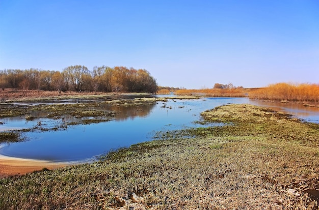 Inundaciones de primavera en el río. paisaje de primavera