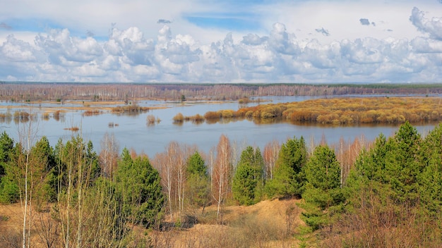 Inundaciones de primavera en el río en la región de Ryazan Rusia.