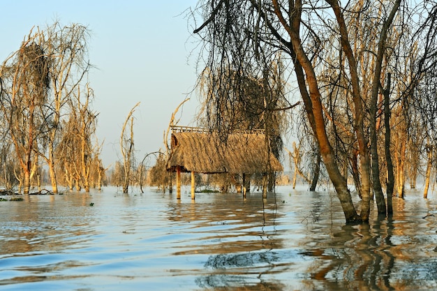 Inundações severas no Lago Naivasha, no Quênia