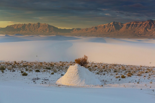 Inusuales dunas de arena blanca en el Monumento Nacional White Sands, Nuevo México, EE.