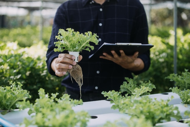 En el invernadero industrial, dos ingenieros agrícolas prueban la salud de las plantas y analizan datos con una tableta