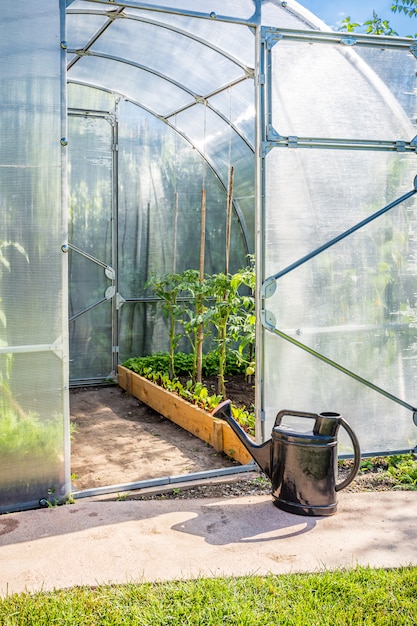 Invernadero en jardín trasero con puerta abierta y bailer