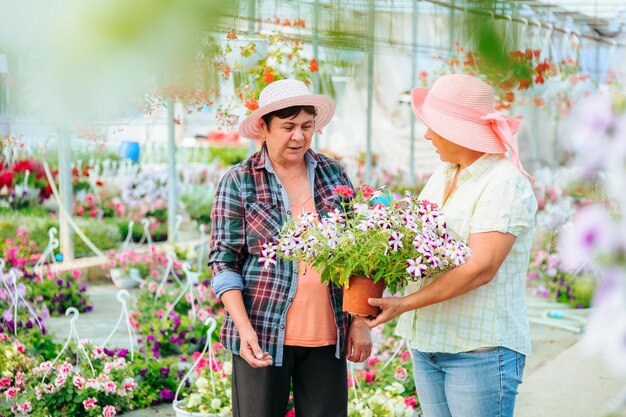 Foto en el invernadero con plántulas de plantas de interior dos mujeres de edad hablando dulcemente riendo sosteniendo una flor