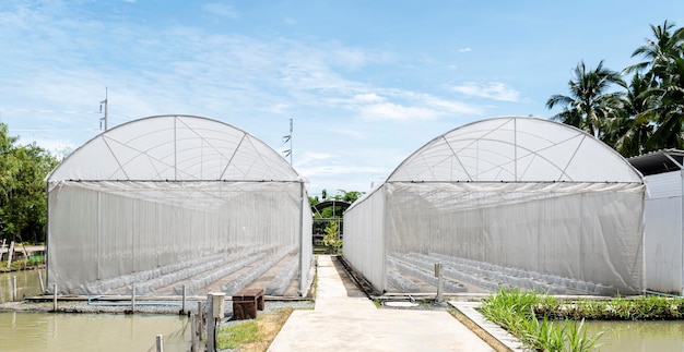 Invernadero de vista exterior para el cultivo de frutas y verduras.