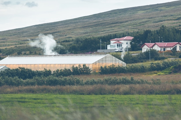 Invernaderos geotérmicos en Islandia