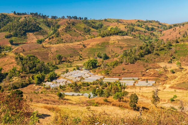 Foto invernaderos y parcelas agrícolas en los valles parque nacional mae tho chiang mai tailandia