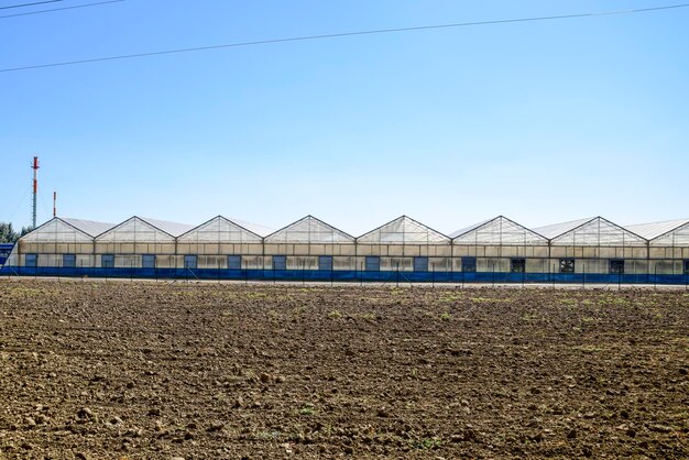 invernaderos de policarbonato complejos de invernaderos invernaderos para el cultivo de verduras bajo tierra cerrada