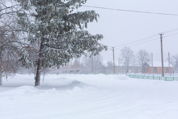 Inverno, as ruas rurais estão cobertas de neve. Nevasca de neve