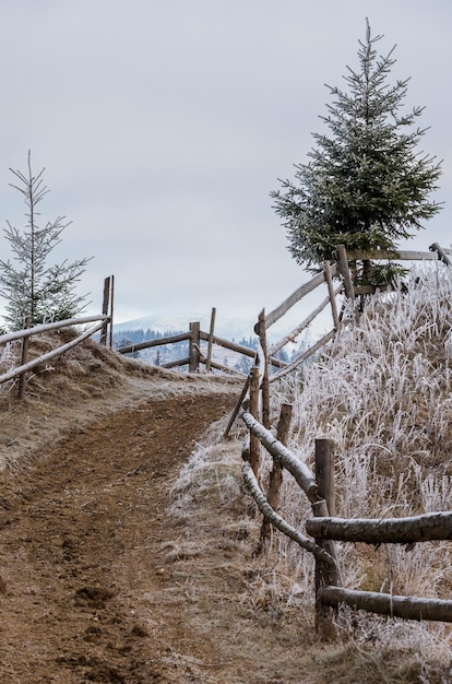 Inverno chegando Últimos dias da manhã de outono na paisagem montanhosa pacífica pitoresca cena geada Estrada suja das colinas para a aldeia Ucrânia Cárpatos