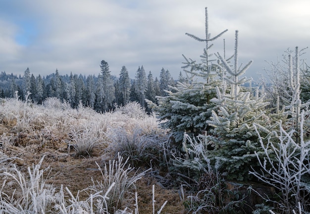 Inverno chegando Últimos dias da manhã de outono na paisagem montanhosa pacífica pitoresca cena geada Ucrânia Montanhas dos Cárpatos