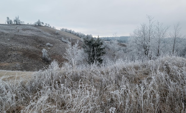Inverno chegando Manhã nublada e nebulosa muito tarde cena de montanhas de outono Pacífica viagem pitoresca natureza sazonal e cena de conceito de beleza rural Montanhas Cárpatos Ucrânia