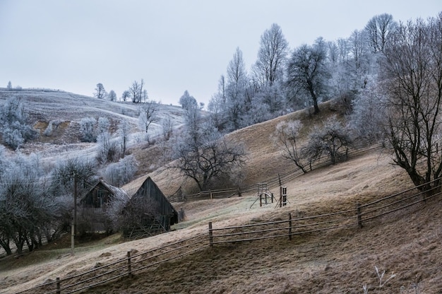 Inverno chegando Manhã nublada e nebulosa muito tarde cena de montanhas de outono Pacífica viagem pitoresca natureza sazonal e cena de conceito de beleza rural Montanhas Cárpatos Ucrânia