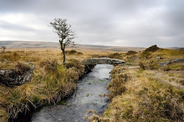 Inverno em Dartmoor