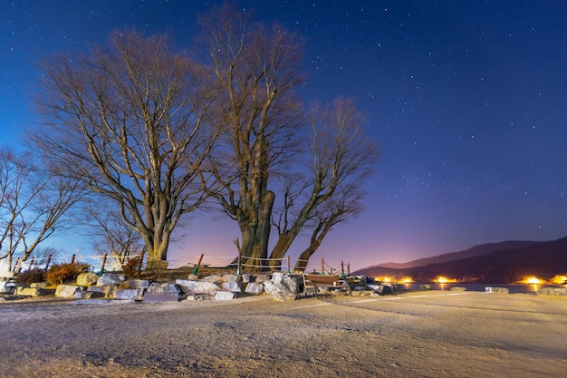 Inverno em Dumulmeori Yangpyeong Coreia do Sul