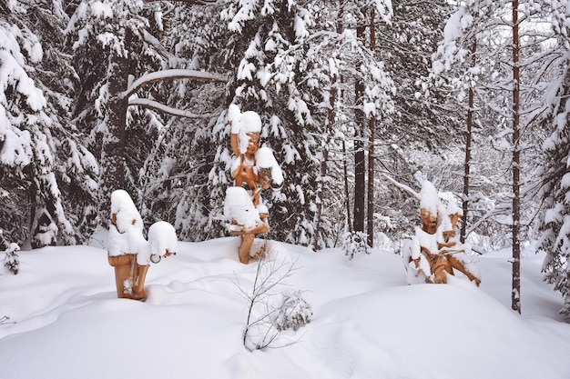 Inverno em uma floresta de abetos abetos cobertos com neve fofa branca Foco seletivo Paisagem de inverno