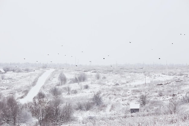 Inverno na aldeia russa / paisagem de inverno, floresta na Rússia, árvores cobertas de neve na província