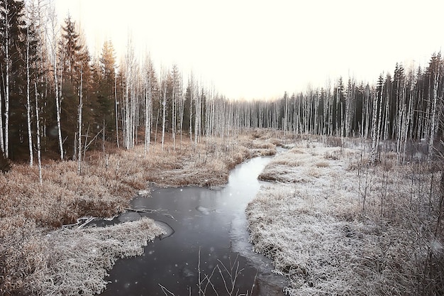 Inverno na aldeia russa / paisagem de inverno, floresta na Rússia, árvores cobertas de neve na província