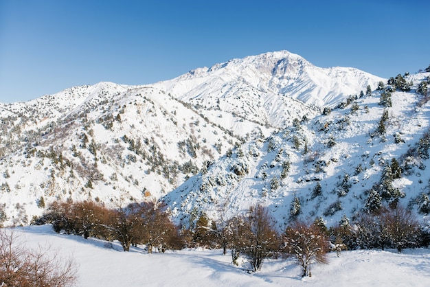 Inverno na estância de esqui do uzbequistão beldersay