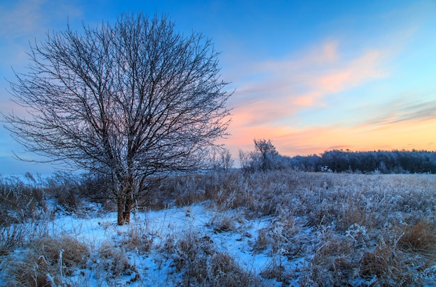 Inverno na neve na Rússia.