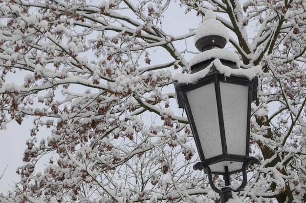 Inverno na Westfália