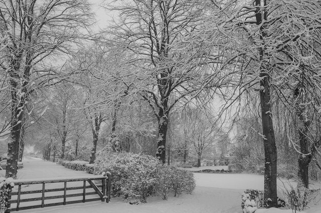 Inverno na Westfália