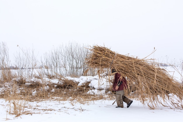 Inverno. Um homem caminha pela neve carregando um enorme pacote de juncos secos nas costas