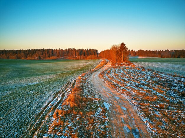 Inverno verde Culturas de inverno do campo agrícola sob a neve. Árvores coloridas Por do sol de dezembro Cena aérea. Estrada de terra rural. Vista superior do campo. Região de Minsk, Bielo-Rússia