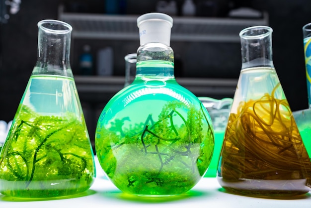 Foto investigación de laboratorio de algas verdes, tecnología de energía alternativa de biocombustibles, concepto de biotecnología