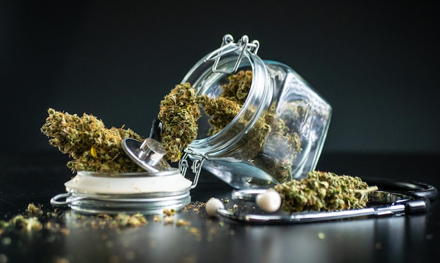 La investigación y el uso legales de plantas de cannabis con fines médicos para el tratamiento de enfermedades con remedios naturales.