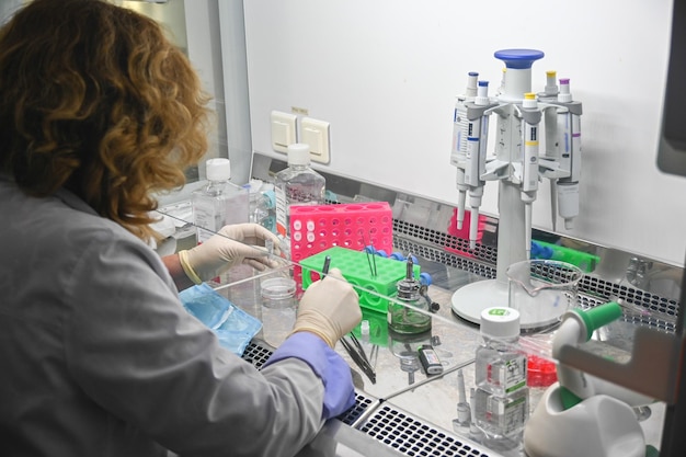 Investigador de cultivo celular en el laboratorio.