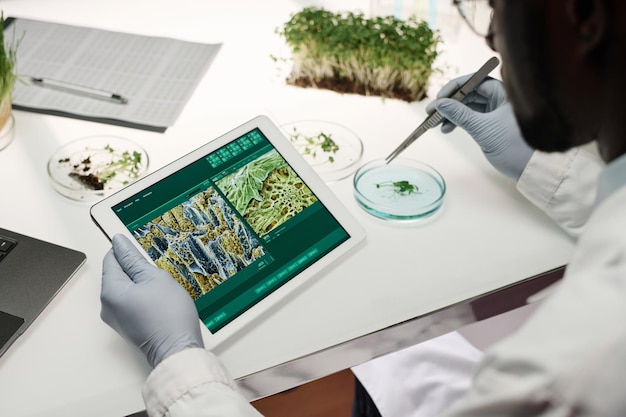 Foto un investigador estudia las células vegetales usando tecnología moderna