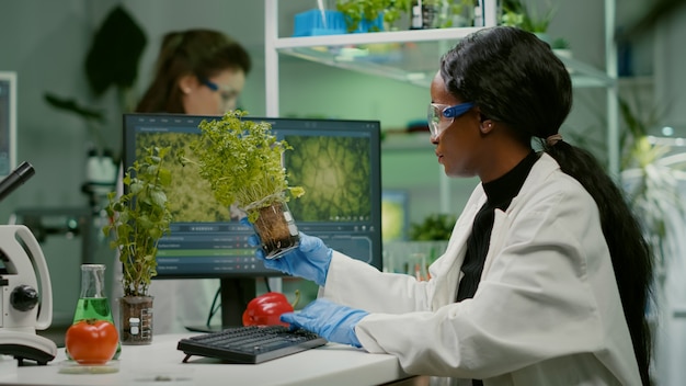 Investigadora africana analizando OMG de tomate y arbolito trabajando en laboratorio biológico