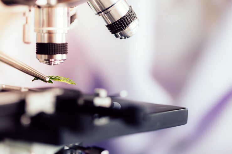 Foto investigadores estudian especies de plantas.