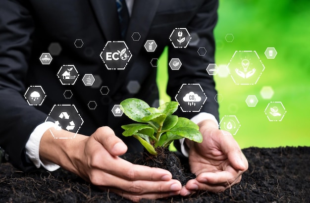 Investimento empresarial em reflorestamento Empresário cultivando mudas jovens no solo como compromisso ESG da corporação para reduzir emissões de CO2 ou carbono, nutrindo o meio ambiente e a natureza Confiança