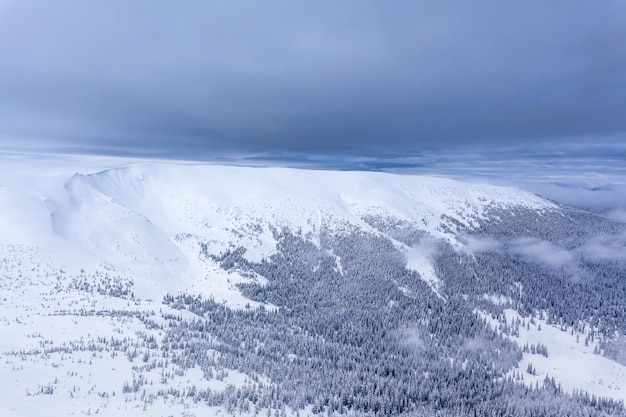 Invierno Bosque nubes Paisaje vista aérea árboles fondo Viaje paisaje sereno