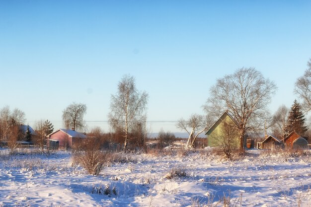 Invierno bosque paisaje la luz del sol nieve