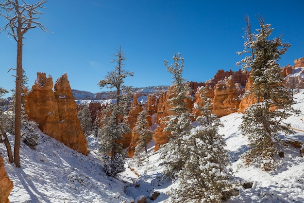 El invierno Bryce